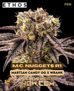 M.C. Nuggets R1 (Feminized) (space) Ethos Genetics