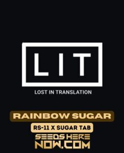 Rainbow Sugar (Feminized) (space) LIT Farms
