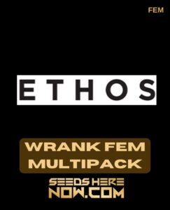 Wrank Multipack (Feminized) (space) Ethos Genetics