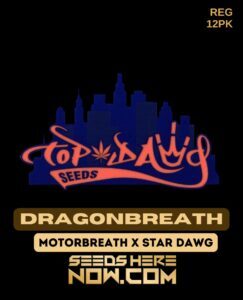 Dragonbreath (Regular) (space) Top Dawg Seeds