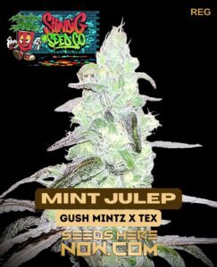 Mint Julep (Regular) (space) Shindig Seed Co.