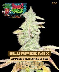 Slurpee Mix (Regular) (space) Shindig Seed Co.