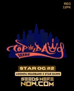 Star OG #2 (Regular) (space) Top Dawg Seeds