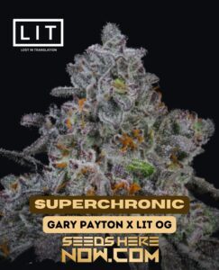 Superchronic (Feminized) (space) LIT Farms