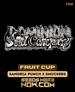 Fruit Cup (Feminized) (space) Dominion Seed Company