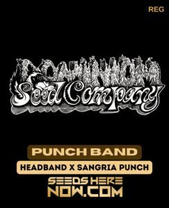 Punch Band (Regular) (space) Dominion Seed Company