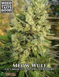 Meow Wulf (Regular) (space) Weed Should Taste Good