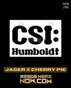 Jager x Cherry Pie (Feminized) (space) CSI Humboldt