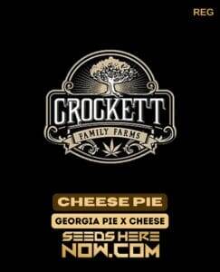 Cheese Pie (Regular) (space) Crockett Family Farms
