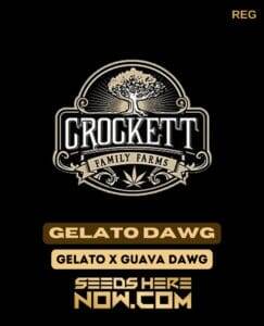 Gelato Dawg (Regular) (space) Crockett Family Farms