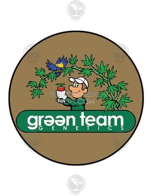 Autoflowering_feminized_seeds