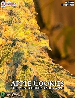 Apple Cookies (feminized) - Cannarado Genetics