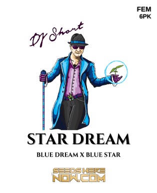 Star Dream (feminized) - Dj Short Seeds/blue Star Seeds