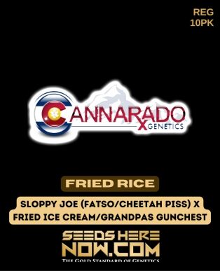 Fried Rice (regular) - Cannarado Genetics