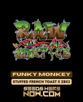 Funky Monkey (regular) - Raw Genetics