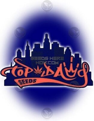 Top Dawg Seeds