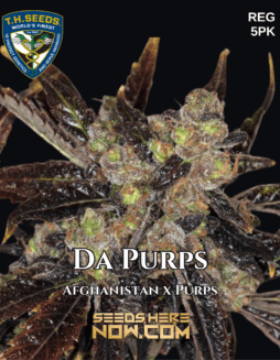Da Purps (Regular) (space) T.H. Seeds