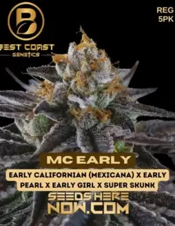 MC Early (Regular) (space) Indica Dominant Cannabis Seeds by Best Coast Genetics