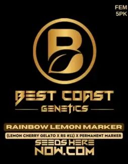 Rainbow Lemon Marker Feminized Seeds (space) High THC Citrus Hybrid