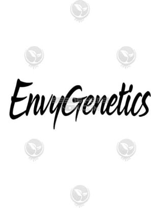 Envy genetics marijuana seeds logo