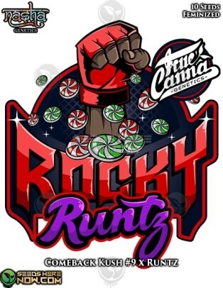 Rocky Runtz (Feminized) (space) Nasha Genetics