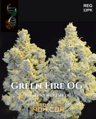 Green Fire OG (Regular) (space) Green Fire Genetics