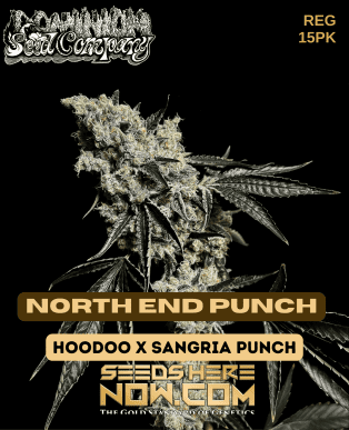 North End Punch (Regular) (space) Dominion Seed Company