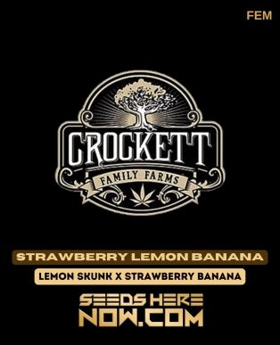 Strawberry Lemon Banana (Feminized) (space) Crockett Family Farms