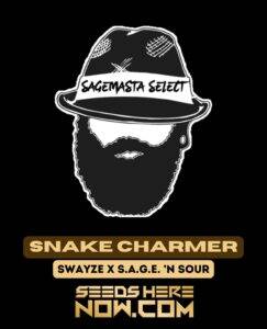 Snake Charmer