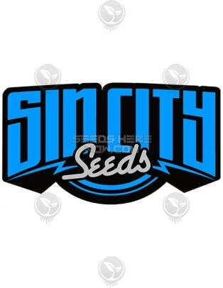 Sin City Seeds Ph