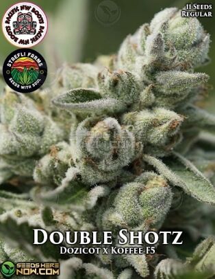 Double Shotz (regular) - Pacific Northwest Roots