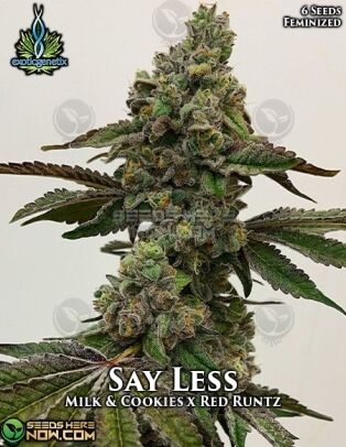 Say Less (feminized) - Exotic Genetix