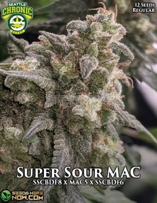 Super Sour Mac (regular) - Seattle Chronic Seeds