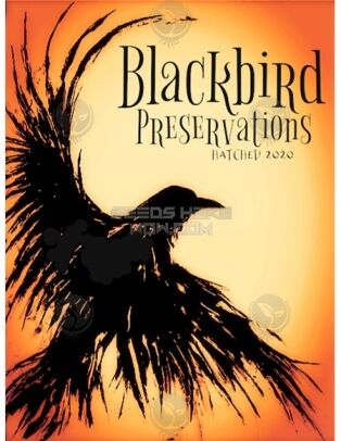 Don Wimble (regular) - Blackbird Preservations