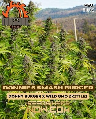 Donnie’s Smash Burger (regular) - Massive Seeds