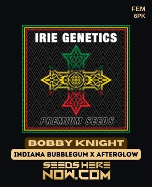 Bobby Knight (feminized) - Irie Genetics