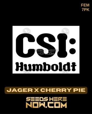 Jager X Cherry Pie (feminized) - Csi Humboldt