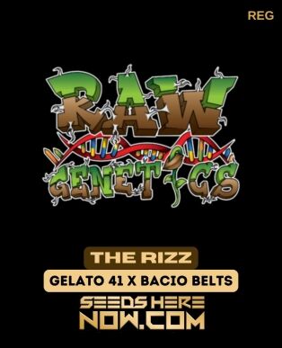 the Rizz (regular) - Raw Genetics