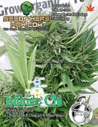 Grandpa-buds-seeds-infinite