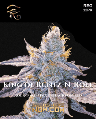 King of Runtz-n-roll (regular) - First Principles Genetics