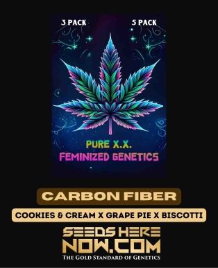 Carbon Fiber S1 (feminized) - Pure Xx