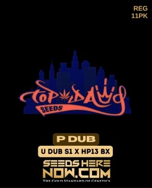 P Dub (regular) - Top Dawg Seeds
