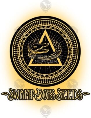 Honey Child (regular) - Swamp Boys Seeds