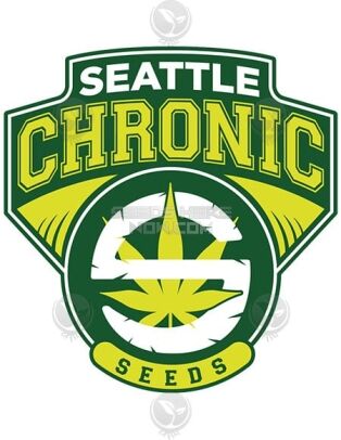 Autoflowering-feminized-seeds