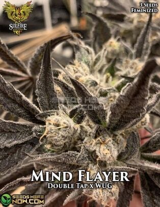 Mind Flayer (feminized) - Solfire Gardens