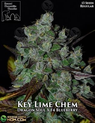 Key Lime Chem (regular) - Second Generation Genetics
