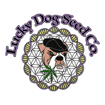 Logo-lucky-dog-seed-co - Seeds Here Now Logo-lucky-dog-seed-co