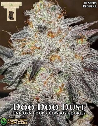 Doo Doo Dust (regular) - Gibbskutz Genetics