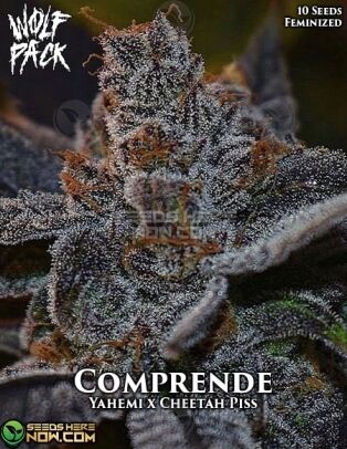 Comprende (feminized) - Wolfpack Selections