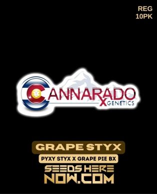 Grape Styx (regular) - Cannarado Genetics